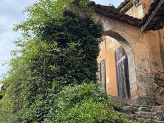 -杨家堂村