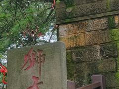 -缙云山景区
