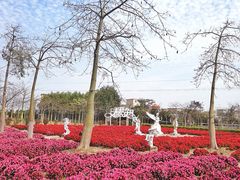 -广东花都香草世界旅游度假区