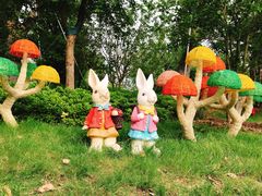 -苏州乐园森林水世界