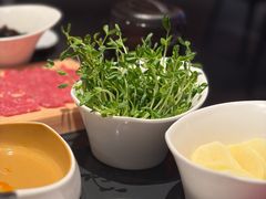 -海底捞(難波店)