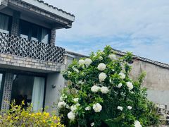 -东钱湖旅游度假区