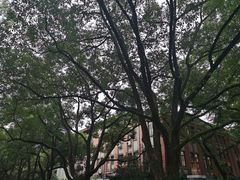 -浙江大学(玉泉校区)