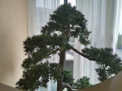 -马家斑.鲜鱼火锅(松湖万科店)