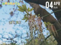 -国家植物园南园