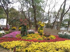 -共青国家森林公园-售票处