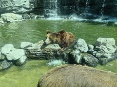 -北京野生动物园