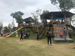 -上海长兴岛郊野公园