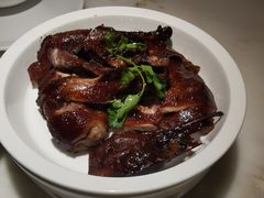 -佬肥猫(国华广场店)