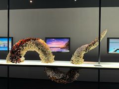 -上海虹桥中心爱琴海亚朵S酒店