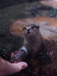 -Zoolung Zoolung动物主题公园(海信广场店)