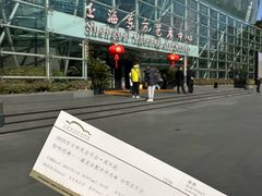 -上海东方艺术中心
