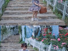 -大塘金香草谷