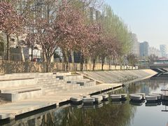 -大望京公园
