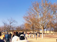 -汉长安城未央宫国家考古遗址公园