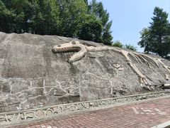 -哈尔滨北方森林动物园