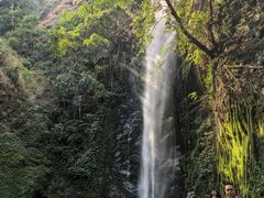 -莫里热带雨林景区