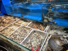 -潮庭·大连海鲜·炭火烧烤·扇贝王(大连店)