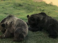 -上方山森林动物世界
