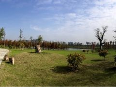 -瑶湖郊野森林公园