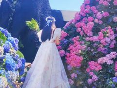 -Blue Concept Cafe&Farm·關於藍