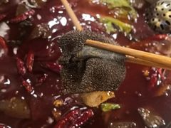 -王少龙火锅(五小区店)