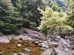 -花岩国家森林公园