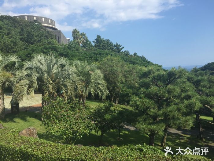 济州岛泰迪熊博物馆图片