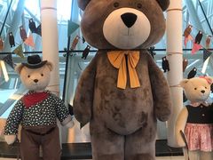 -济州岛泰迪熊博物馆