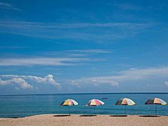 -白沙湾海滩