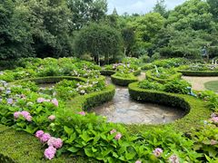 -上海共青森林公园