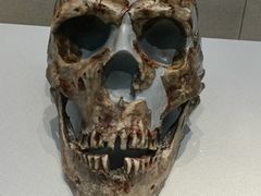 -国家自然博物馆