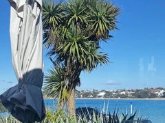 -Takapuna Beach Cafe