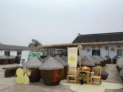 -苏州市吴中区光福窑上花果蜜饯厂