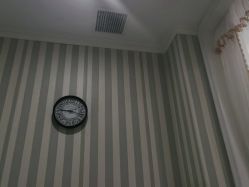 -静博士·养生养颜