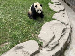 -上海野生动物园