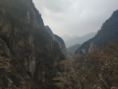-嵩山少林文化旅游景区