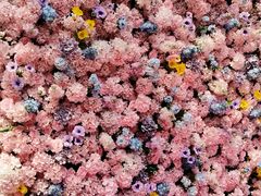 -上海长风大悦城