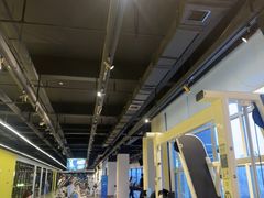 -Liking健身(哈尔滨旗舰店)