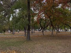 -长春市南湖公园