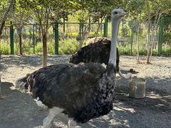 -水上乐园·欢乐世界