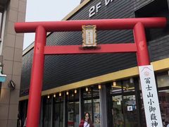 -富士山吉田線五合目