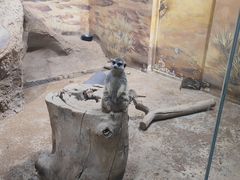 -大连圣亚海洋世界