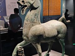 -广西壮族自治区博物馆