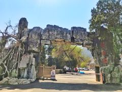 -阳台山自然风景区