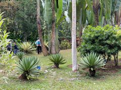 -中国科学院西双版纳热带植物园