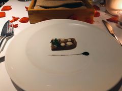 -蝶舍·MAISON PAPILLON