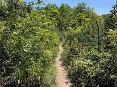 -会稽山峡洞漂流-上青古道