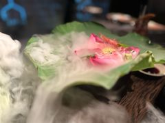 夏日荷花刺身-地球美食剧场