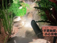-相遇·鲜炒黄牛肉(丹阳吾悦广场店)